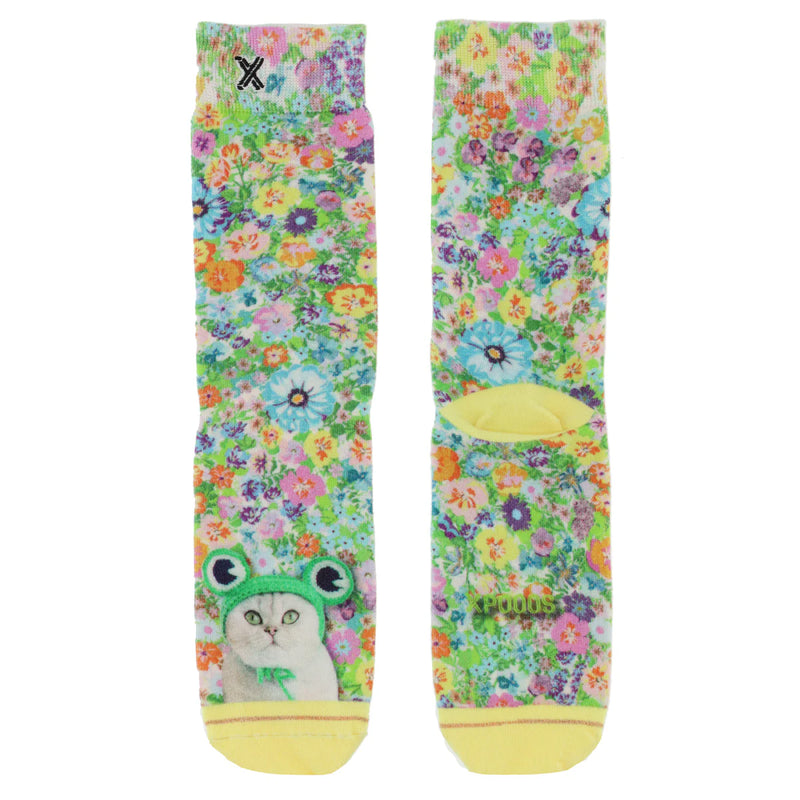 Chaussettes Kittycat - Xpooos